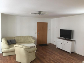 Seepferdchen in Stralsund